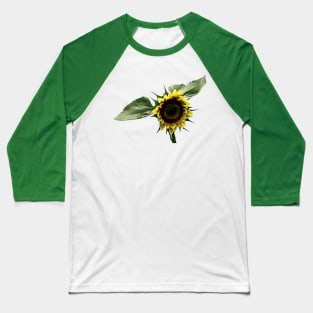 Sunflowers - Yellow and Brown Sunflower Baseball T-Shirt